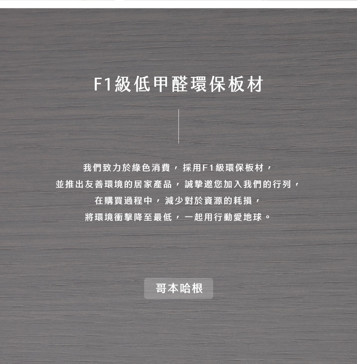 現代簡約雙抽電視櫃-哥本哈根_02