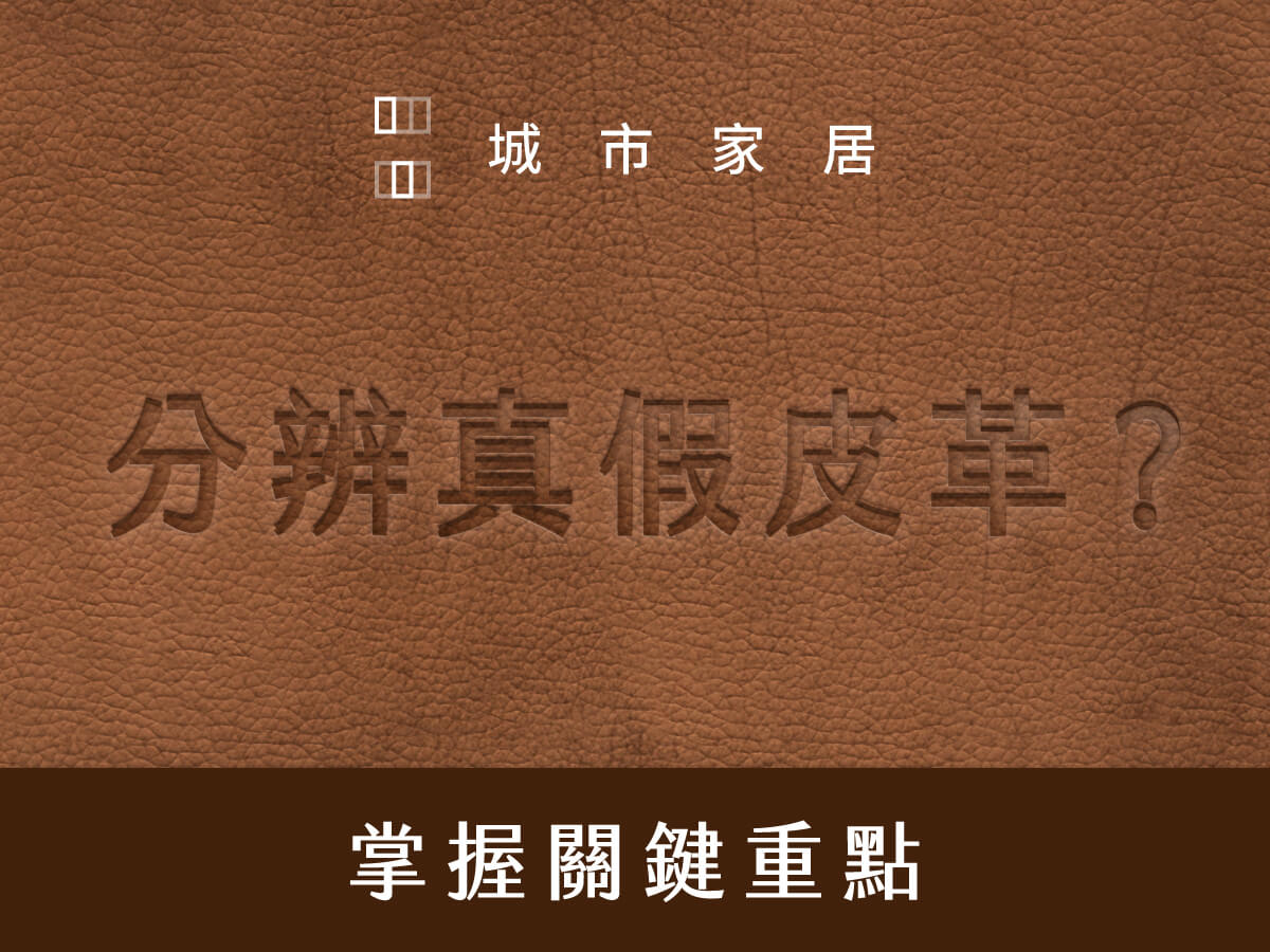 分辨真假皮革？| 掌握關鍵重點