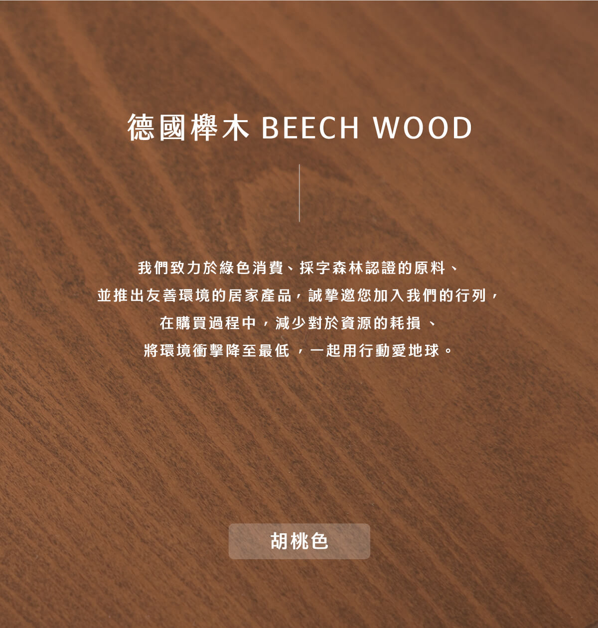 德國櫸木實木方餐桌-胡桃色_02