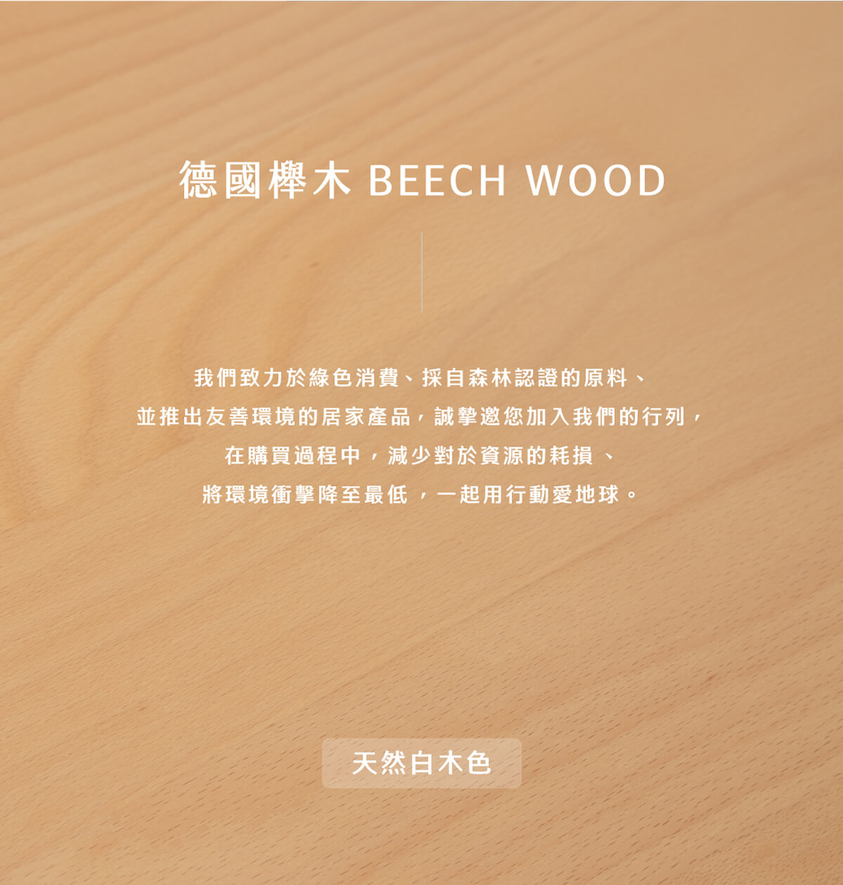 德國櫸木彎曲寬背餐椅-天然白木色_02